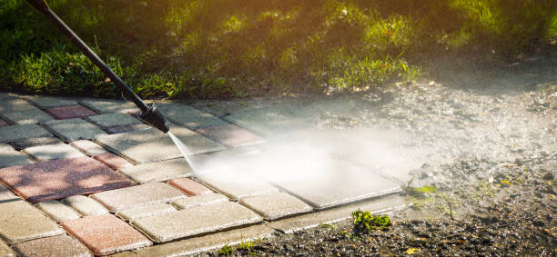 Best Fence Cleaning  in Lenwood, CA