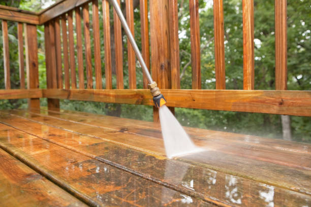 Best Solar Panel Cleaning  in Lenwood, CA